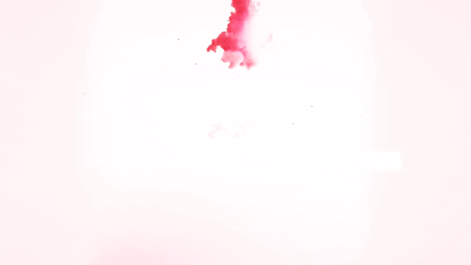 tidbit-9
